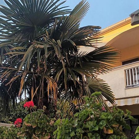 Studio Apartman Casper Zadar Bagian luar foto