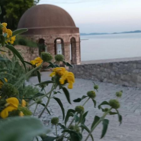 Studio Apartman Casper Zadar Bagian luar foto