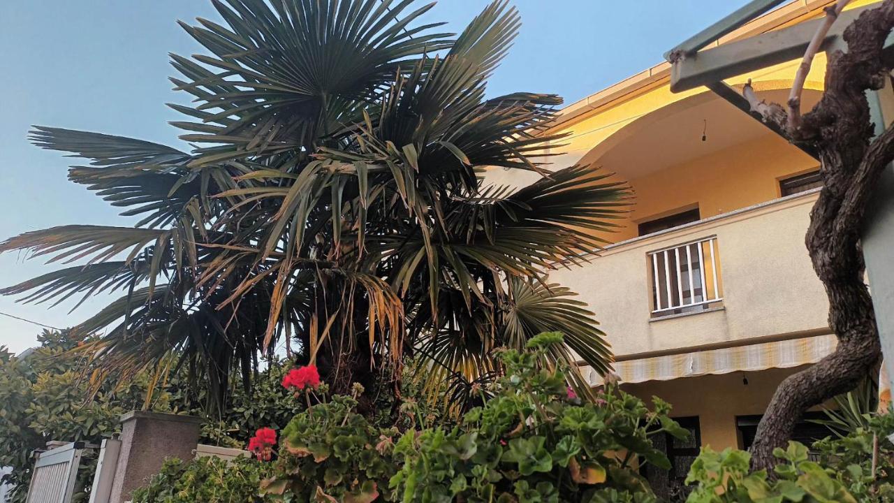 Studio Apartman Casper Zadar Bagian luar foto
