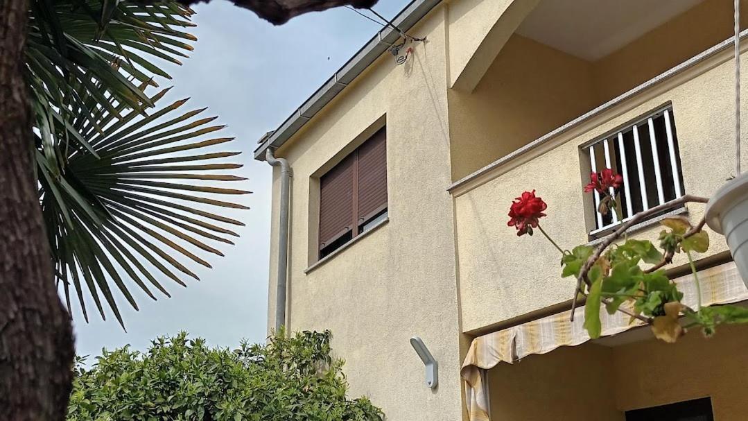 Studio Apartman Casper Zadar Bagian luar foto